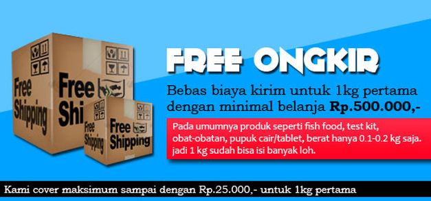 Free Ongkir dalam Jual Beli Online strategi-free-ongkir