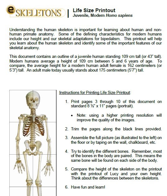 Human Osteology A Laboratory And Field Manual Pdf