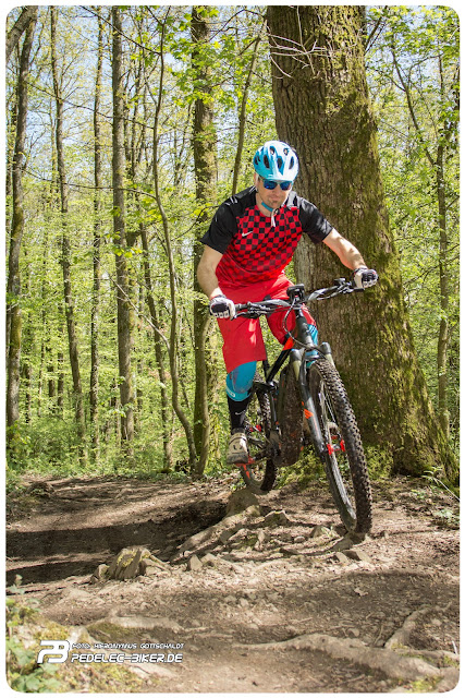 How To Bosch Purion Umrustung Pedelec Biker De