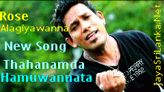 Thahanamda Hamuwannata-Rose Alagiyawanna
