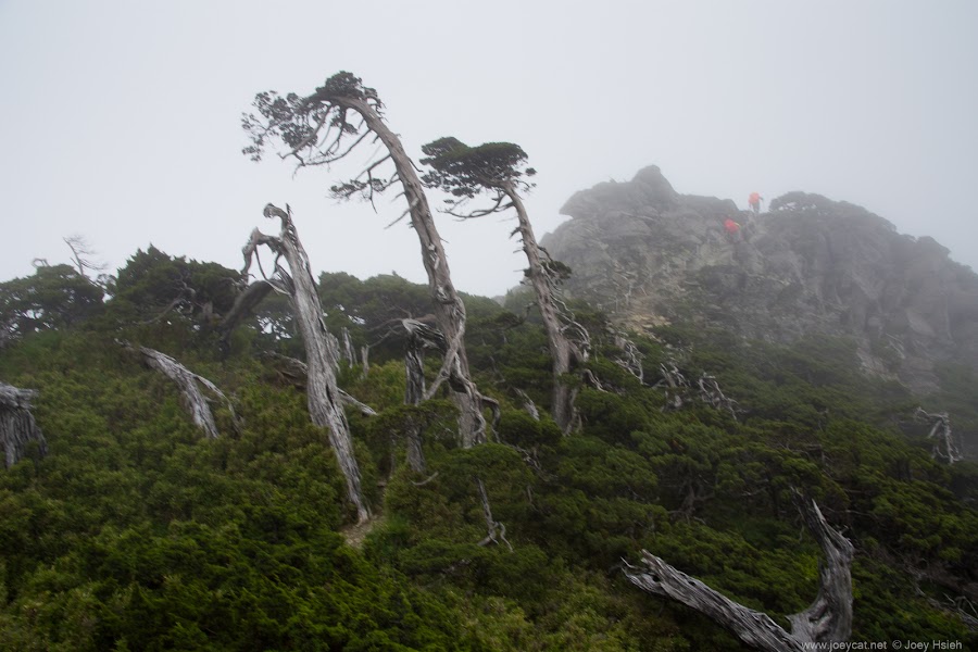 南湖大山 南湖東峰 審馬陣山 南湖北山