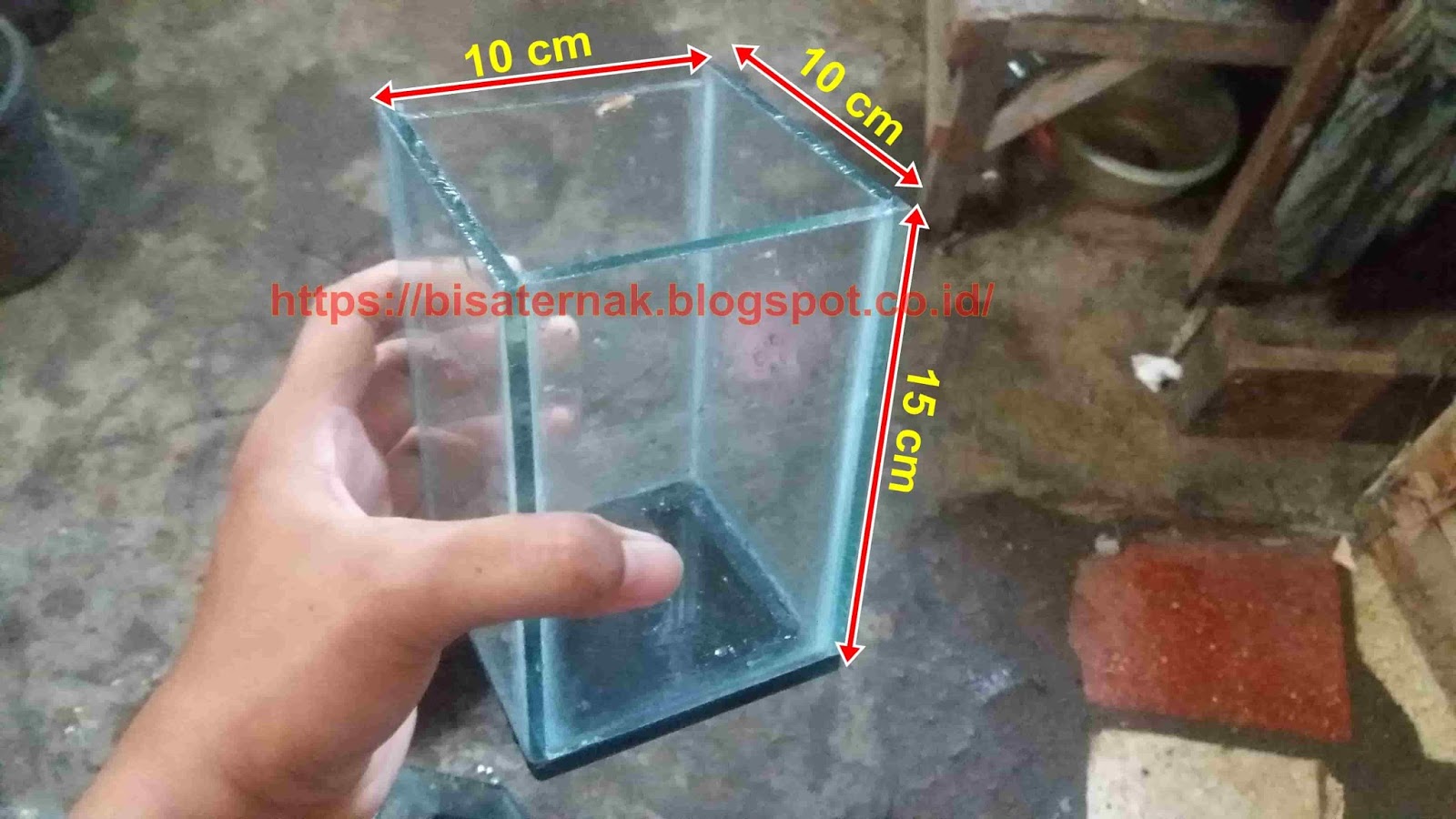 Kumpulan Materi Pelajaran Dan Contoh Soal 3 Ukuran Aquarium Ikan