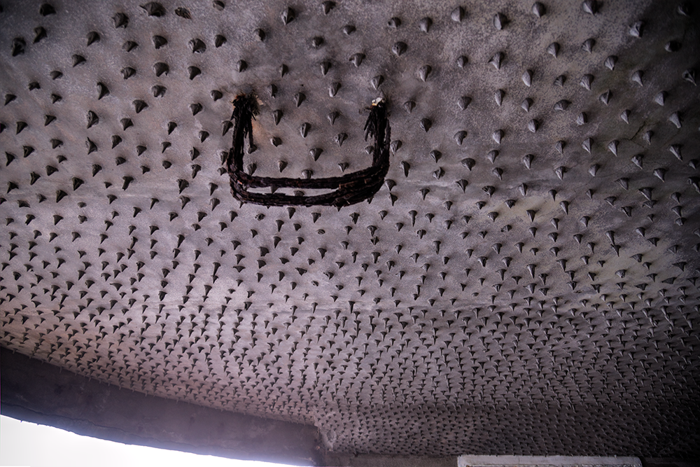 ［宜蘭縣頭城鎮］龜山島登島日記