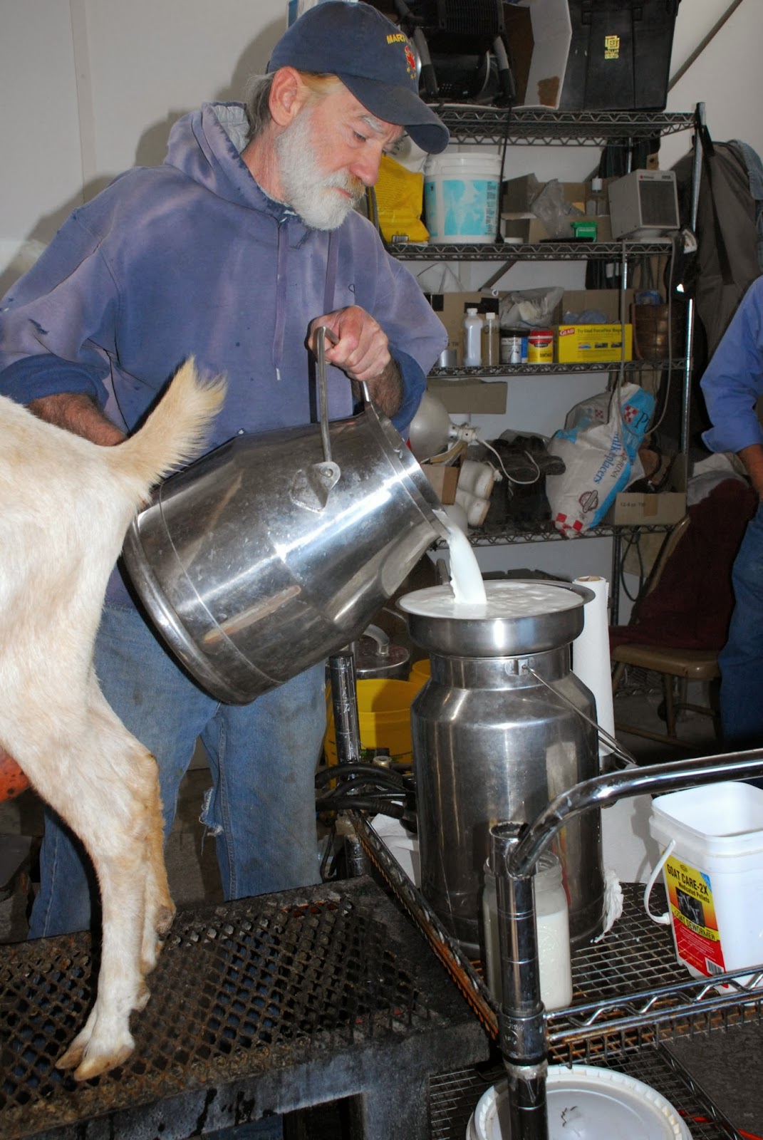 Texas Mountain Trail Daily Photo Marfa Maid Cheese Making Classes!