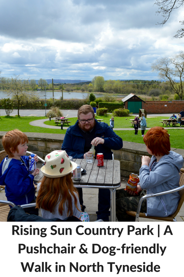 Rising Sun Country Park A Pushchair & Dogfriendly Walk in North
