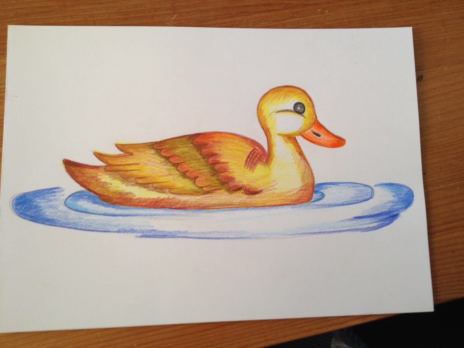 Blog van Manon Verhulst: Dieren tekenen