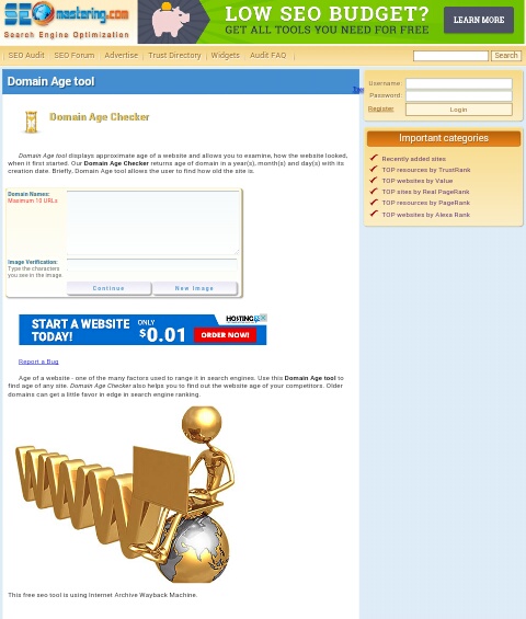 How To Check Your Domain Name Age