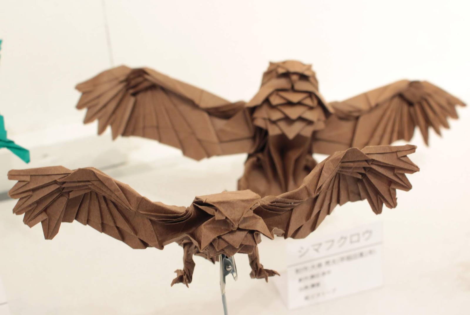Design Festa Gallery Blog 日本中高生折り紙連盟 はいおり 春の展覧会
