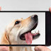 Five Helpful Apps For Dog Lovers