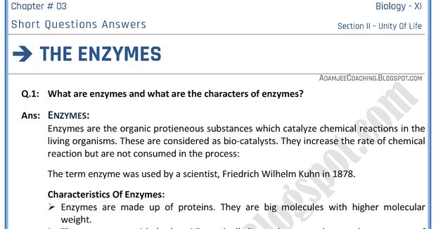 characteristics of enzymes