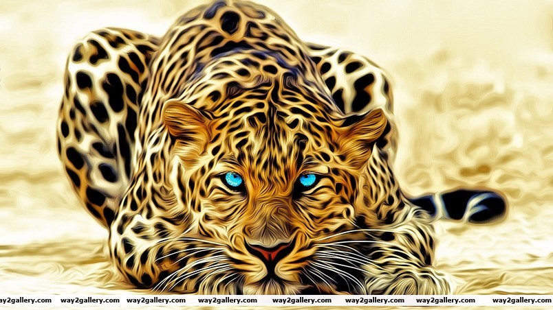 Stunning leopard wallpaper
