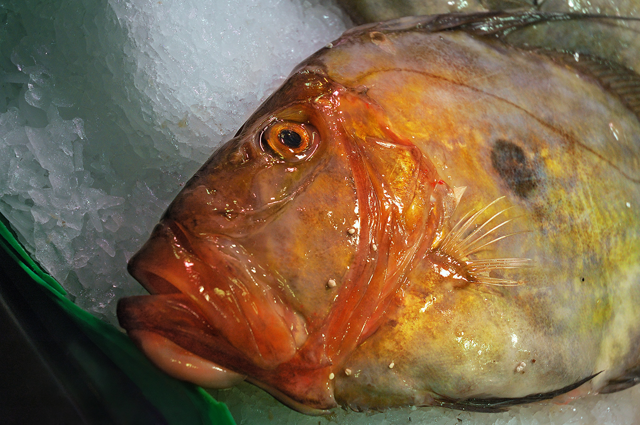 Boqueria Fish: Fresh Gallo