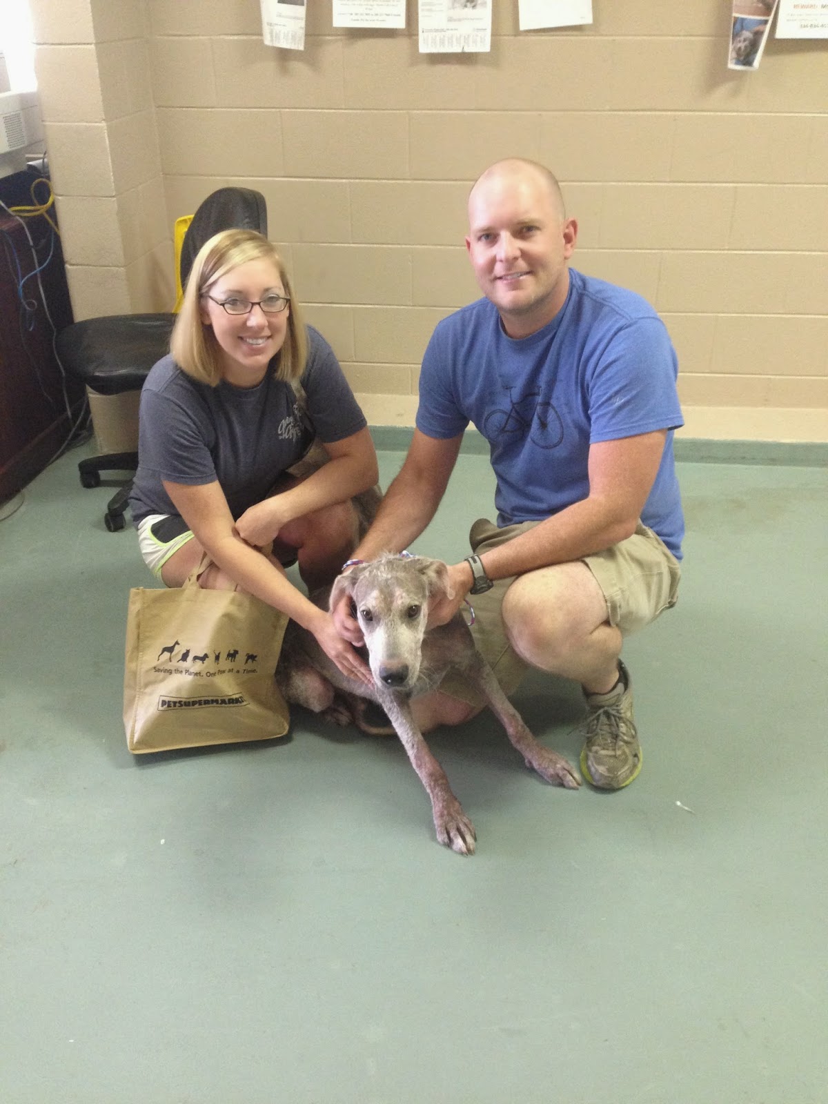 Montgomery Humane Society Medical Fund Brock Gets A Foster Home!