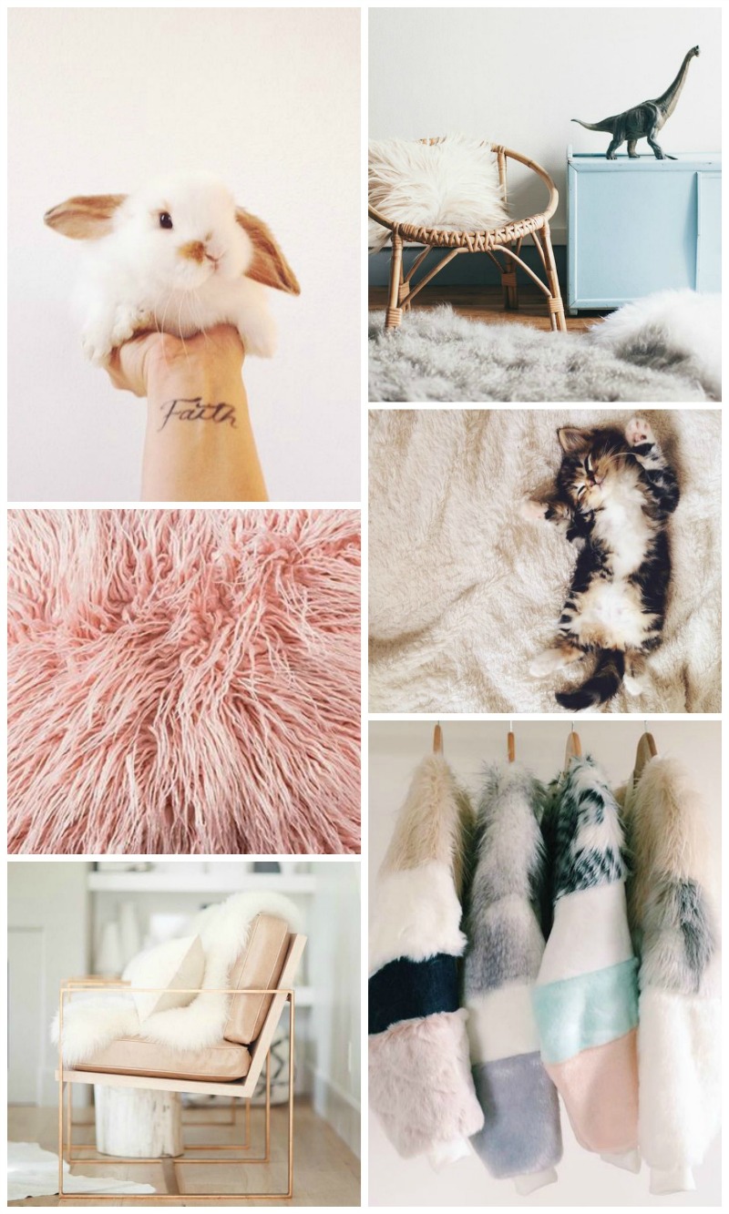 COLLAGE: Fluffy