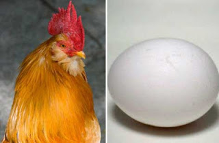 鶏と卵