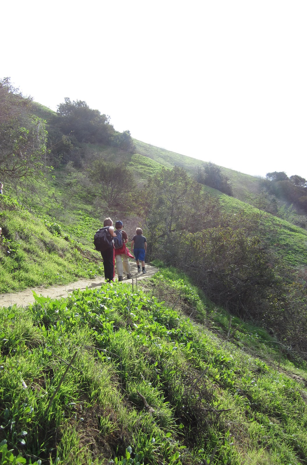 Lilly and the brothers Of Trees and Trails Hellman Wilderness Park