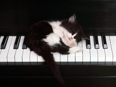 Gato en Piano El Gato del Gato en la Terraza de Fernando Daniel Bruno Partitura de Piano y Voz Canción de Folklore Argentino