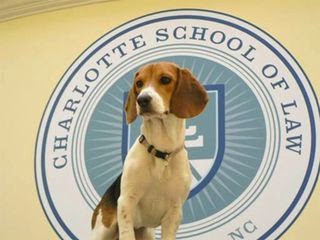Charlotte Law School >> Outside The Law School Scam Guest Post By A Former Charlotte Law School >> Outside The Law School Scam Guest Post By A Former