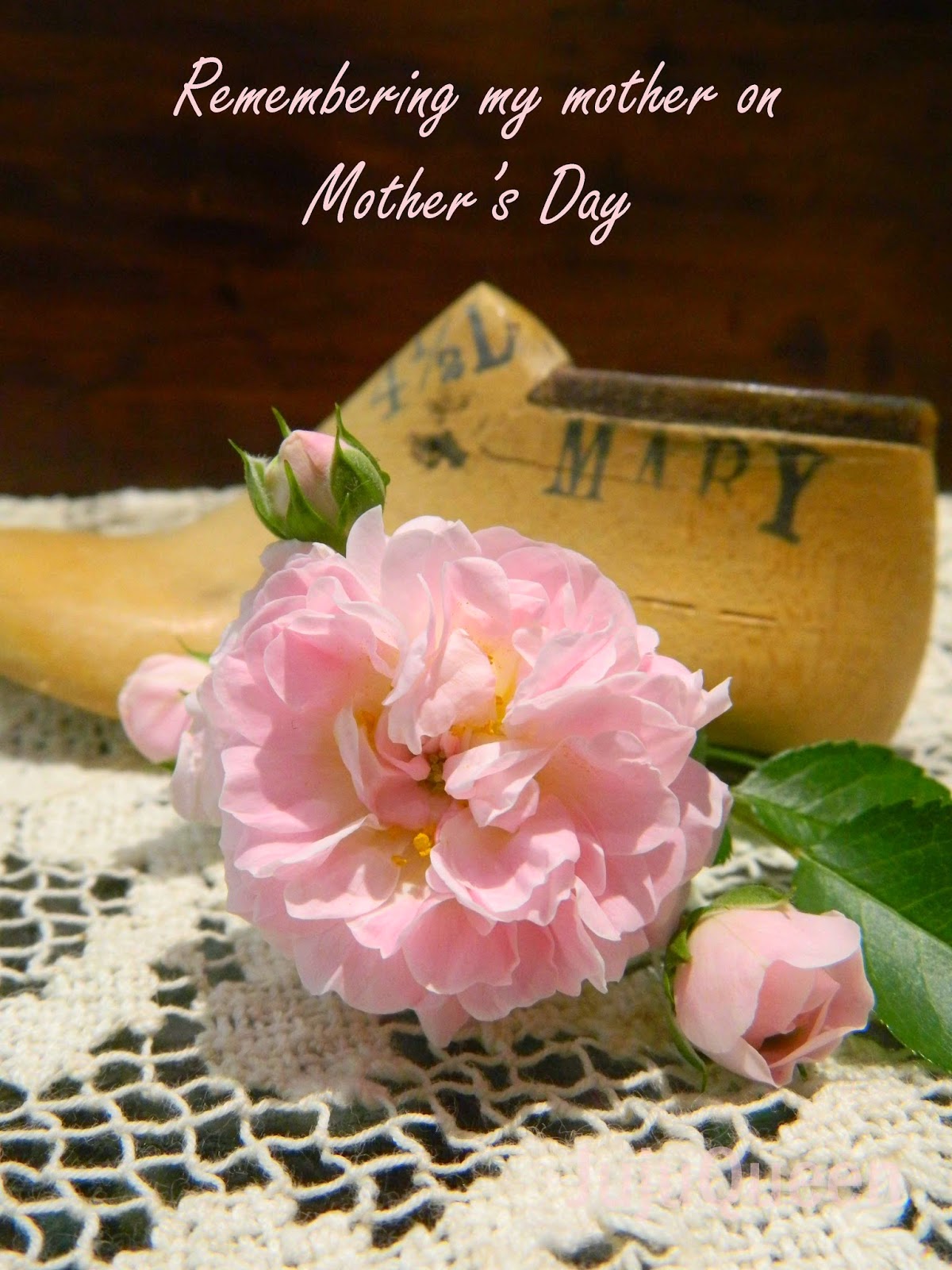 The Roses Bloomed Just in Time for Mother's Day