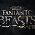 Os segredos e as teorias por trás do trailer de Animais Fantásticos e Onde Habitam