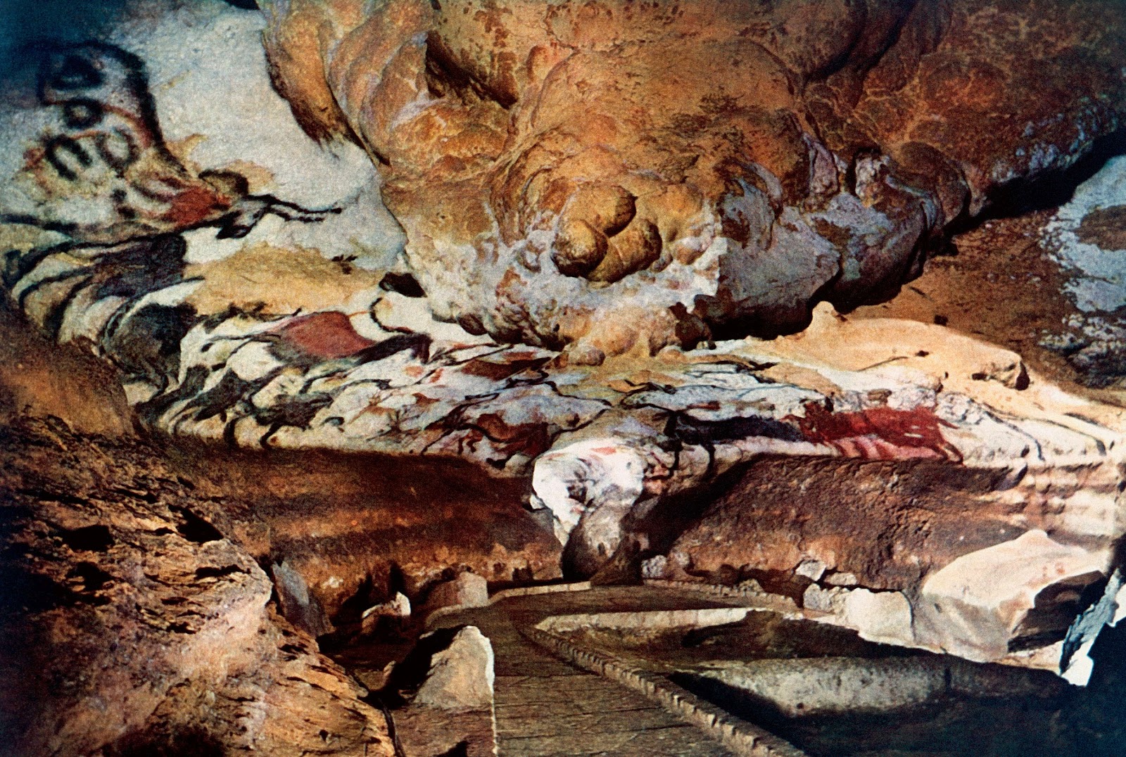 lascaux-cave-painting-bing-wallpaper-download