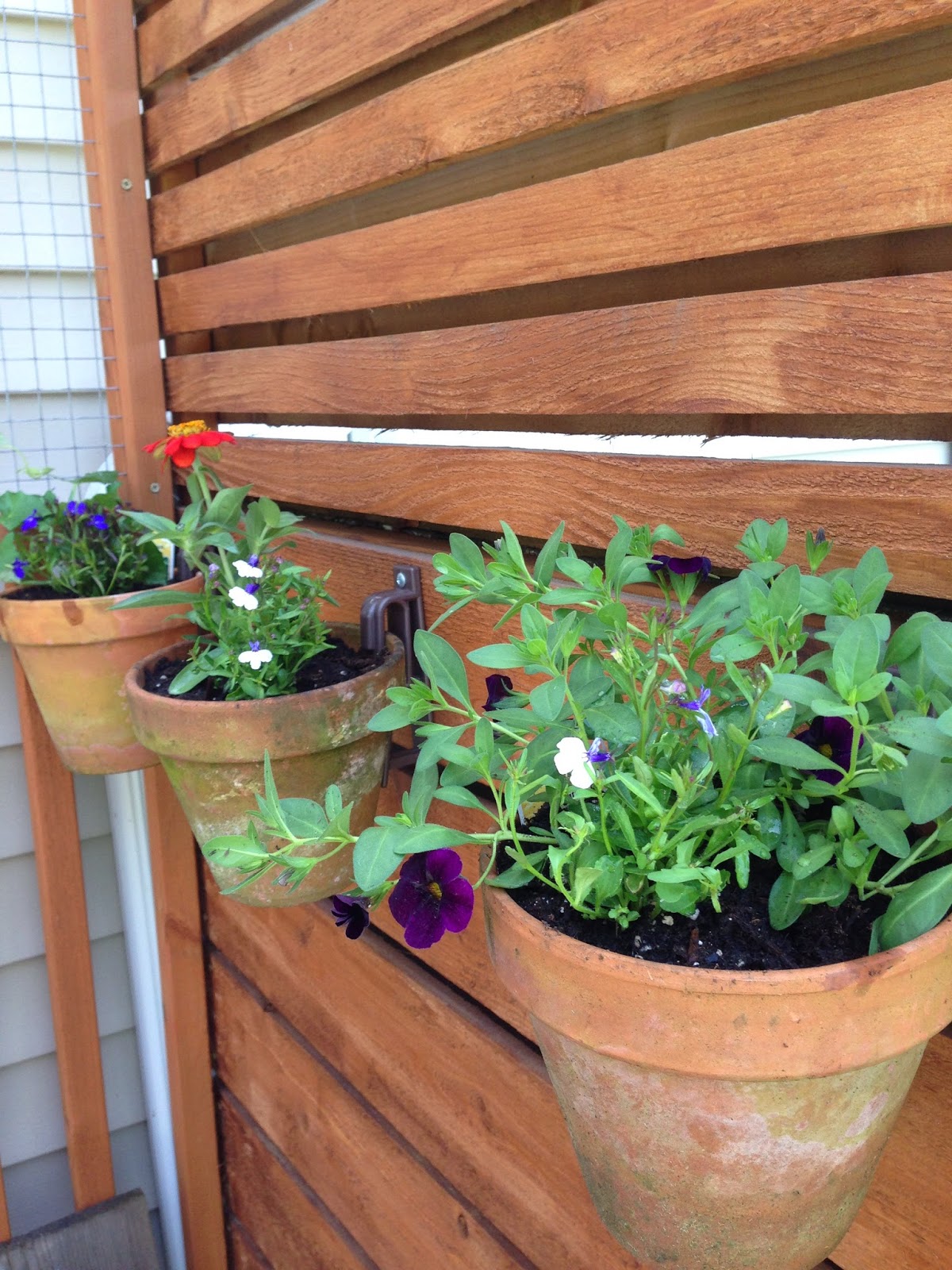 AllPurpose Flower Vertical Clay Pot Hangers