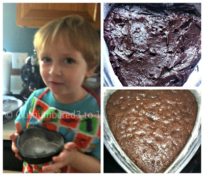 Dassant Truffle Brownie Mixe