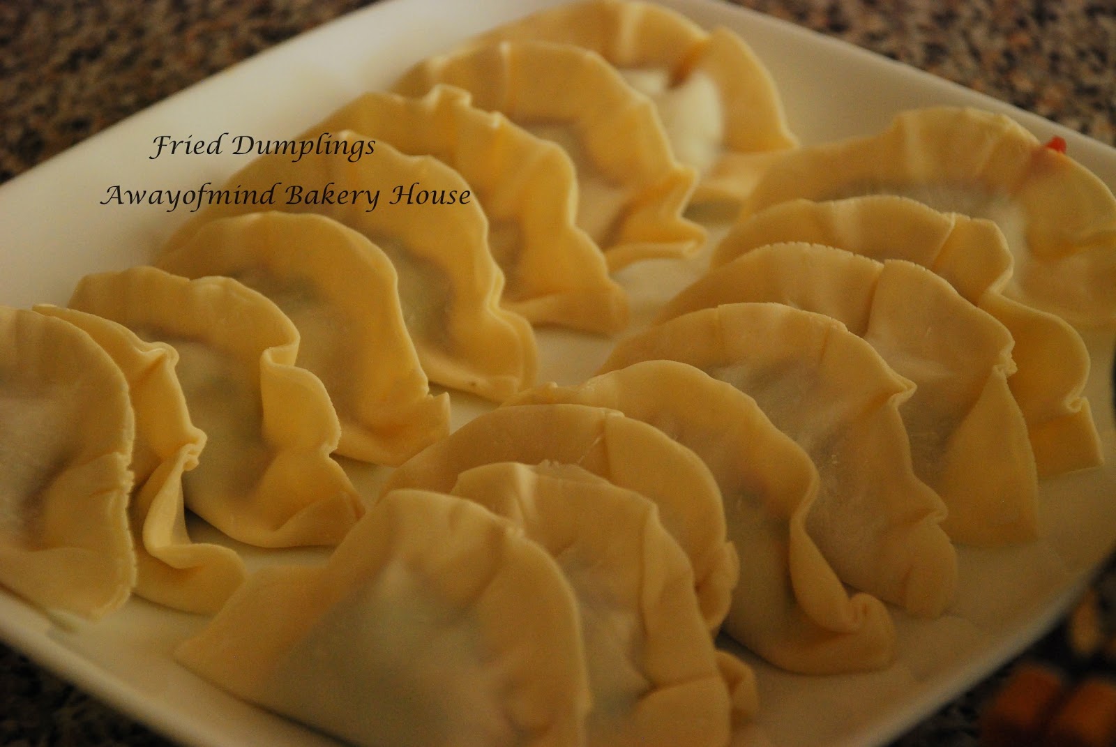 Awayofmind Bakery House Fried Dumplings