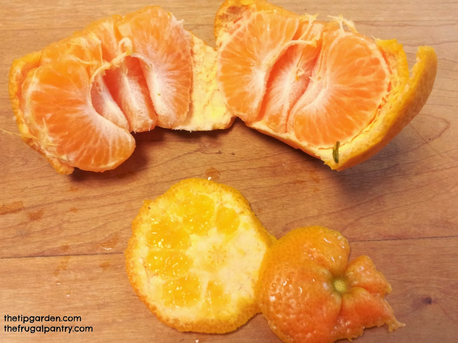 TIP GARDEN Peeling an Orange Trick