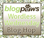 http://blogpaws.com/executive-blog/pet-parenting-health-lifestyle/wordless-wednesday/wordless-wednesday-blog-hop-horses-rock/