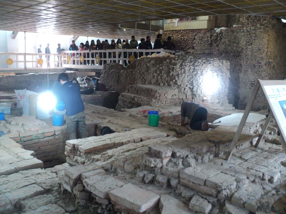 प्रकृति Peace Unearthed