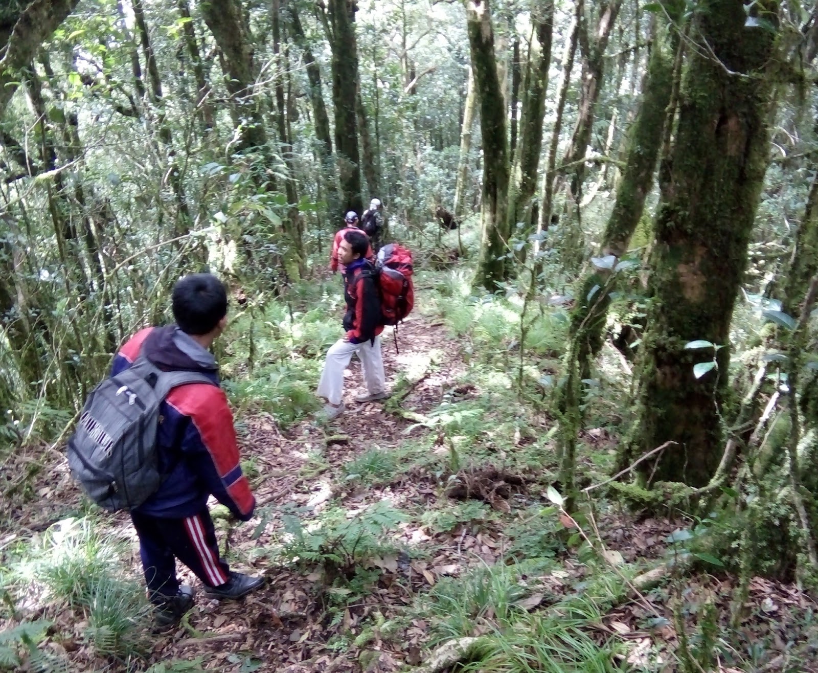 Sewa Peralatan Kemah Dan Jual Perlengkapan Camping Di Denpasar Bali Gunung Batukaru