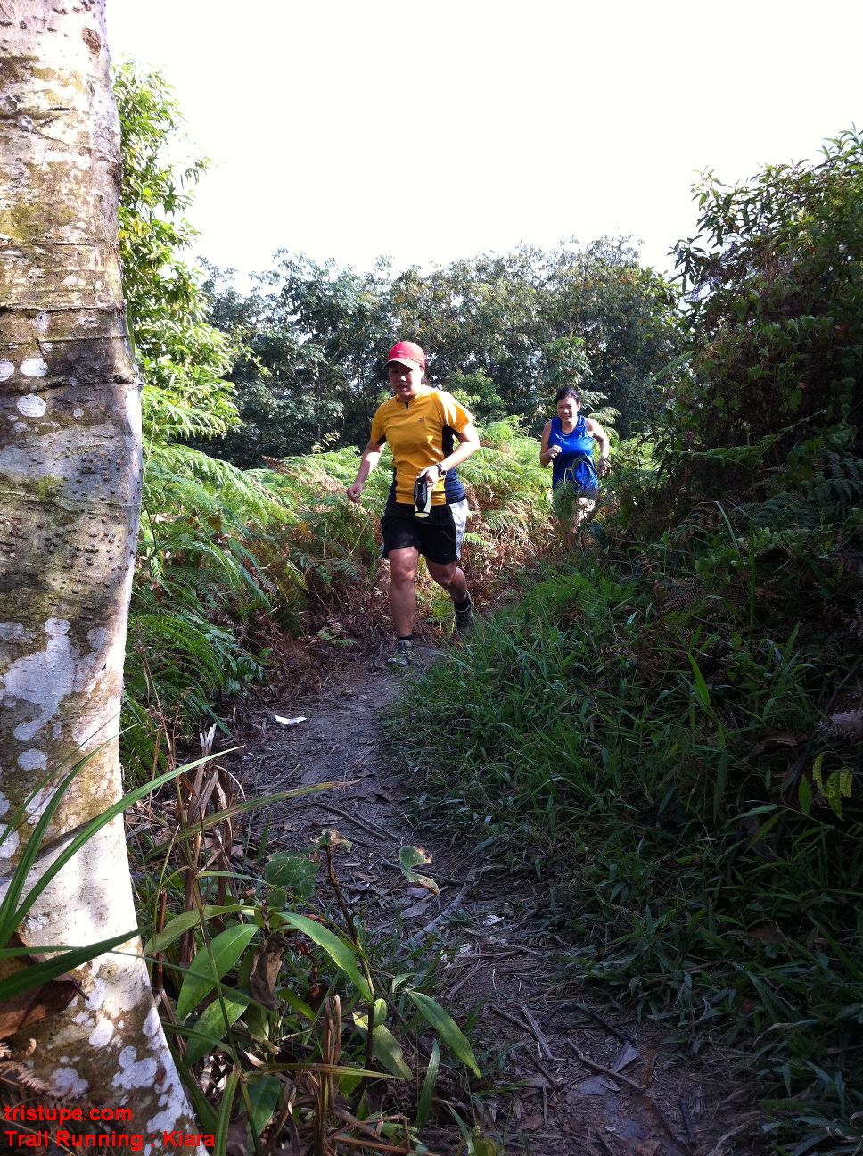 Trail Running: Fast 5 Click ~ TRISTUPE.COM