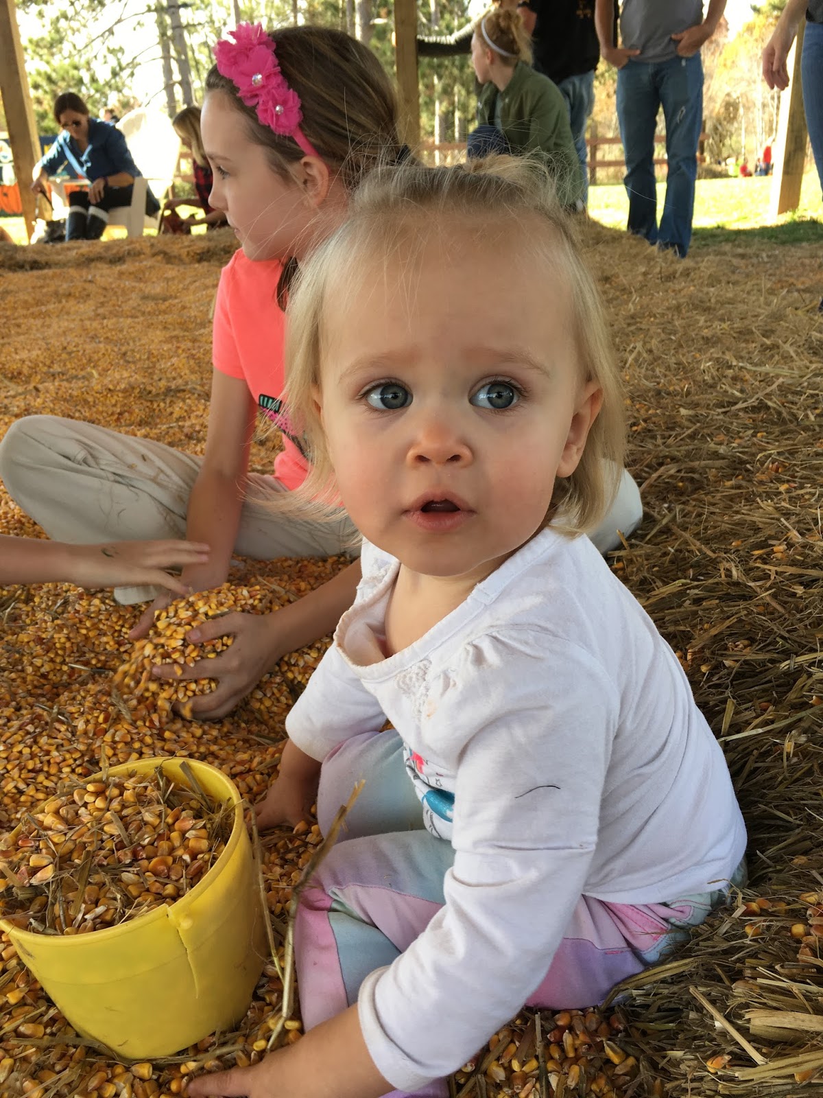 Wessner recommend Best ass sex video