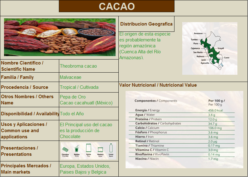 CACAO EXPORT Cacao peruano de calidad Ficha Técnica del Cacao