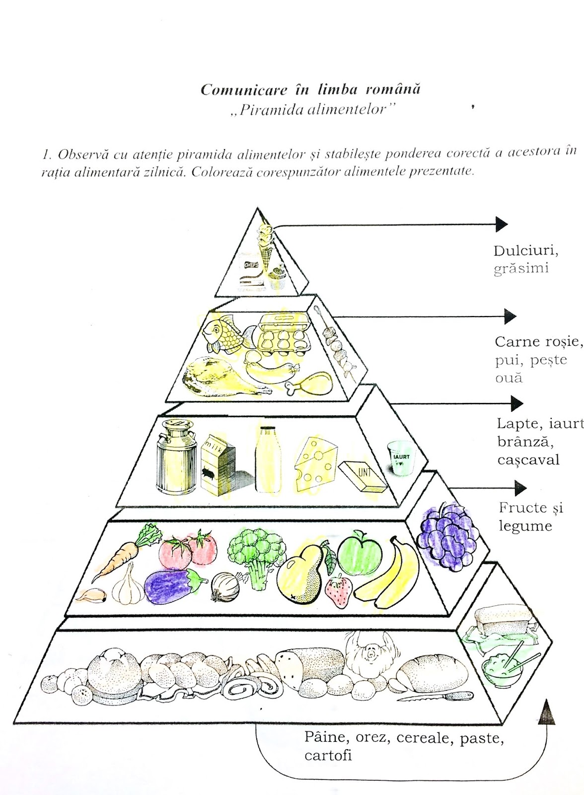 Fișă-Piramida alimentelor