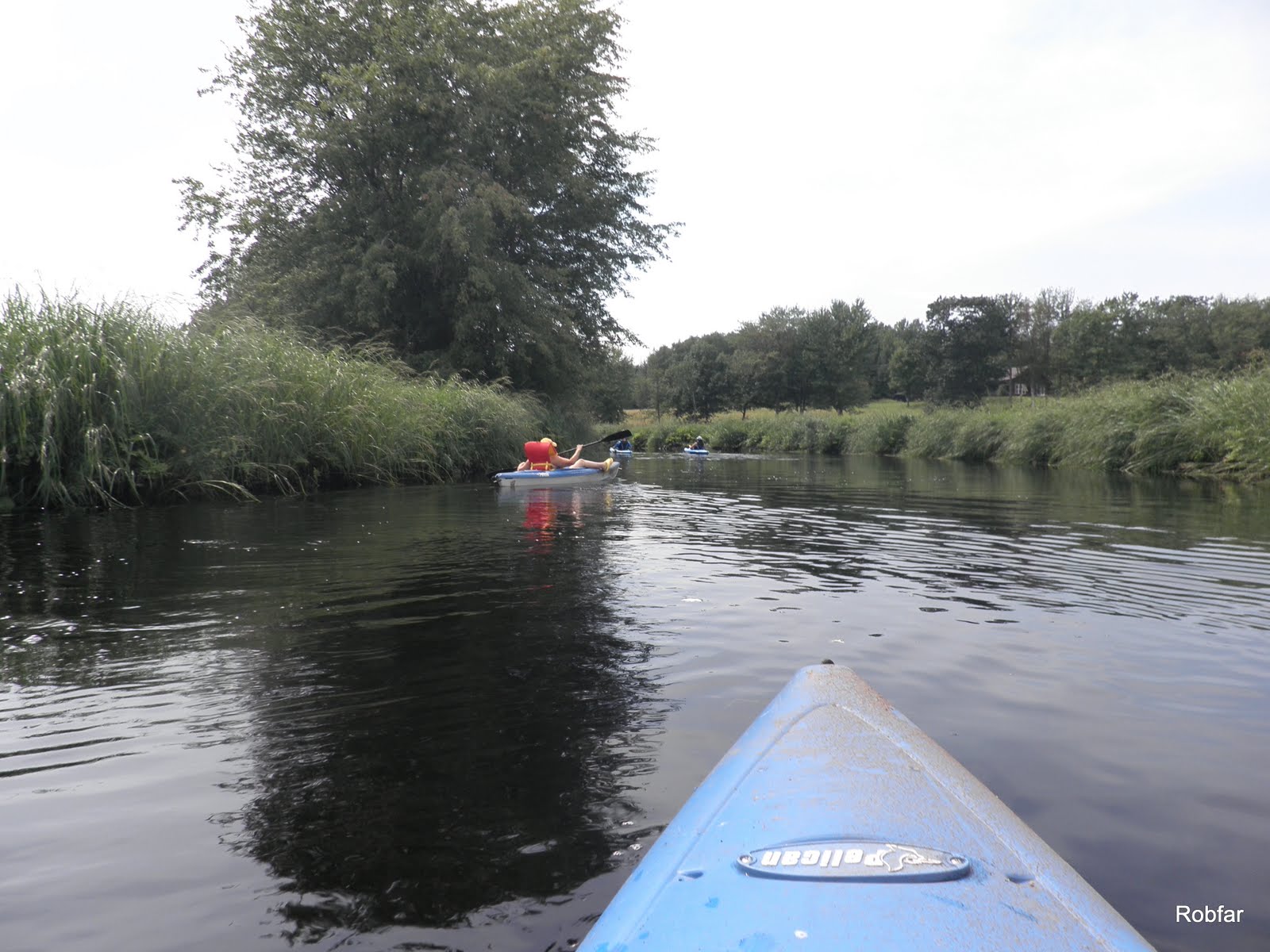 Scouting New Brunswick Kayaking the Causeway