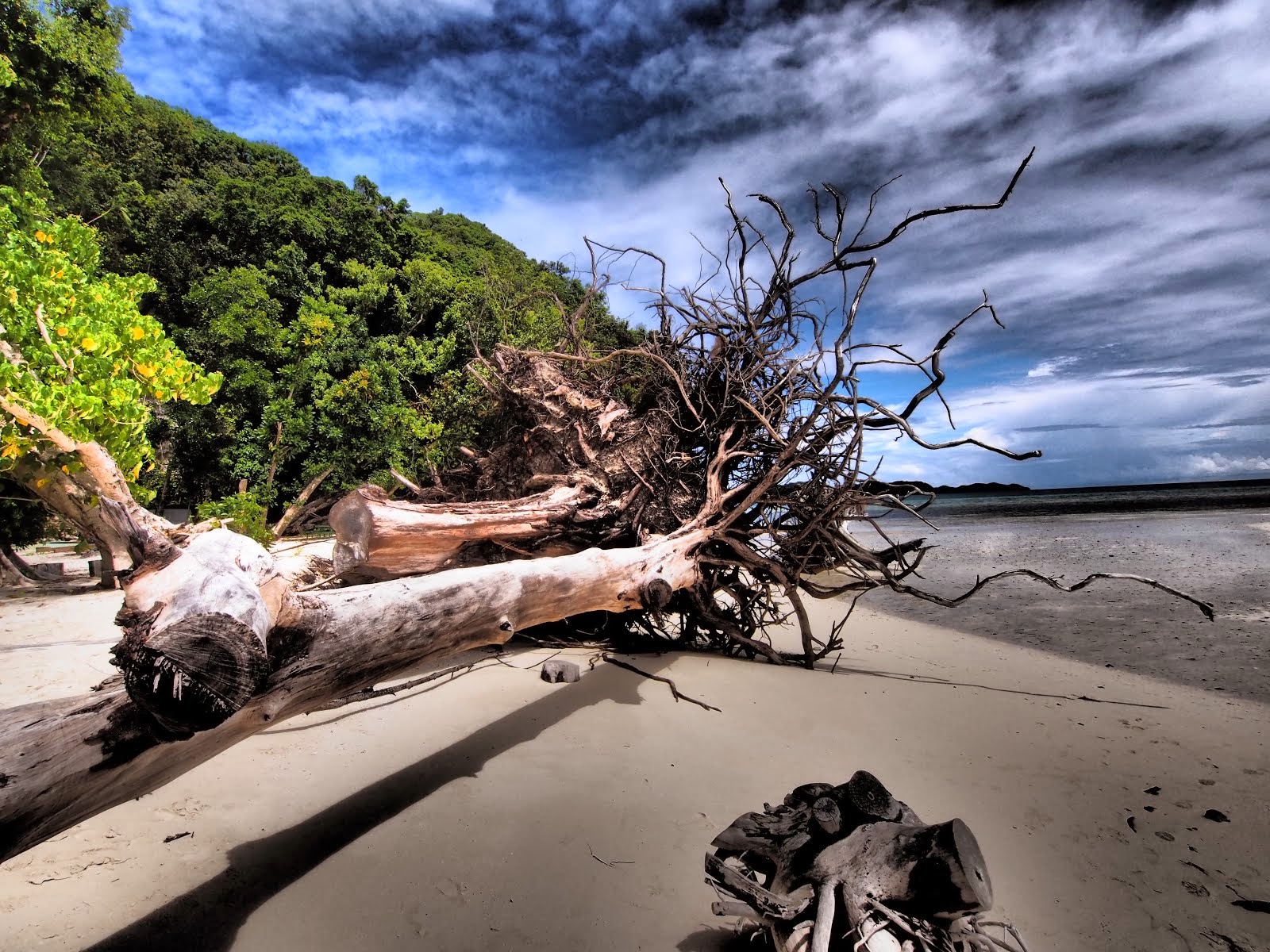 Typhoon Debris