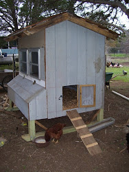 The Song of The RainCrow: Chicken Coop Update