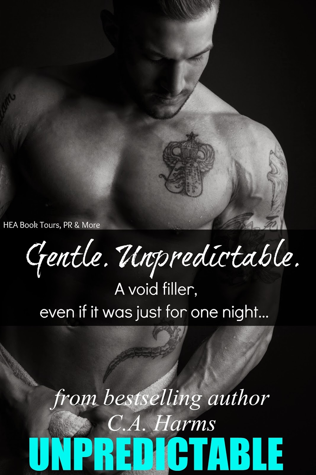Category Unpredictable-by-ca-harms-blog-tour