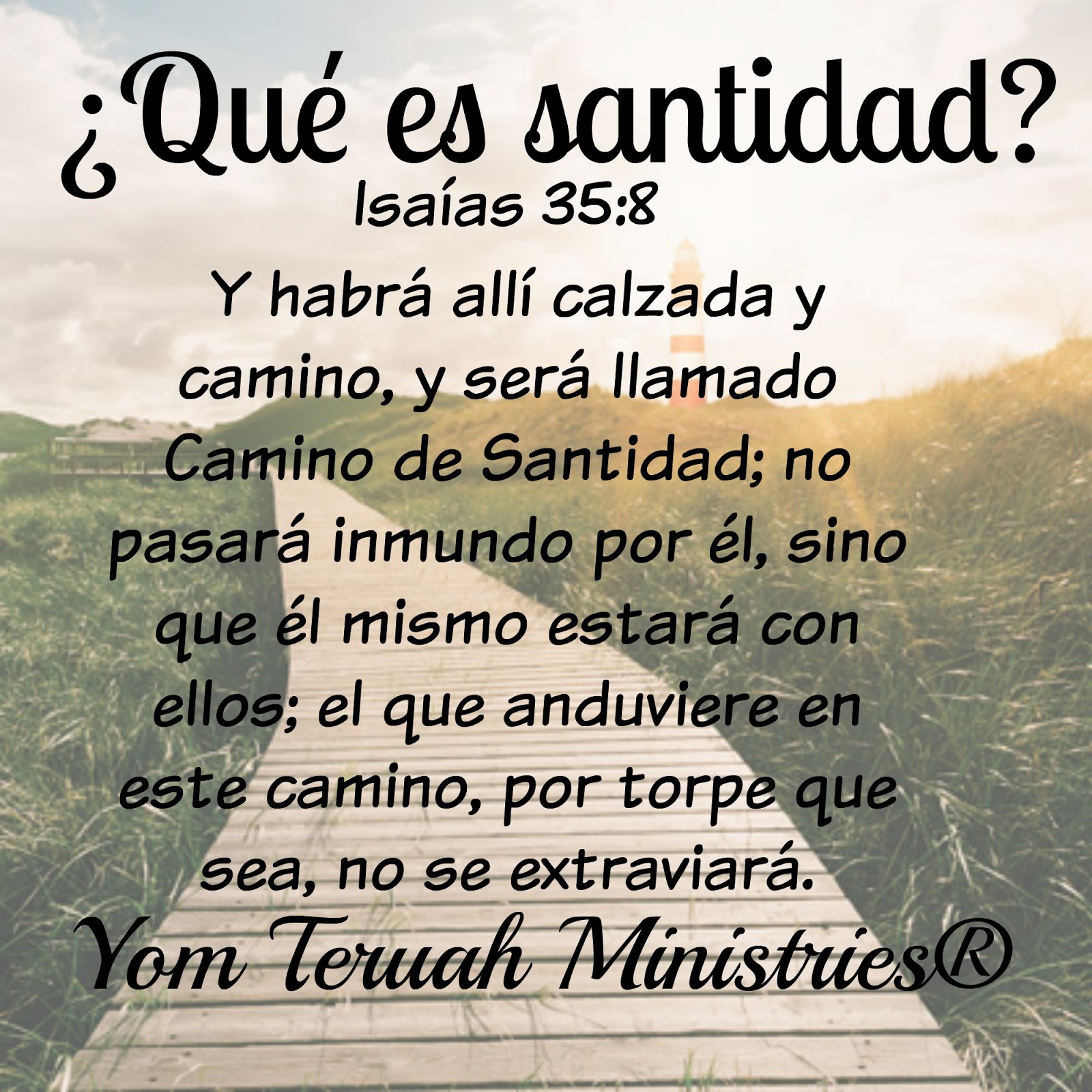 La Santidad Es Un Proyecto De Vida