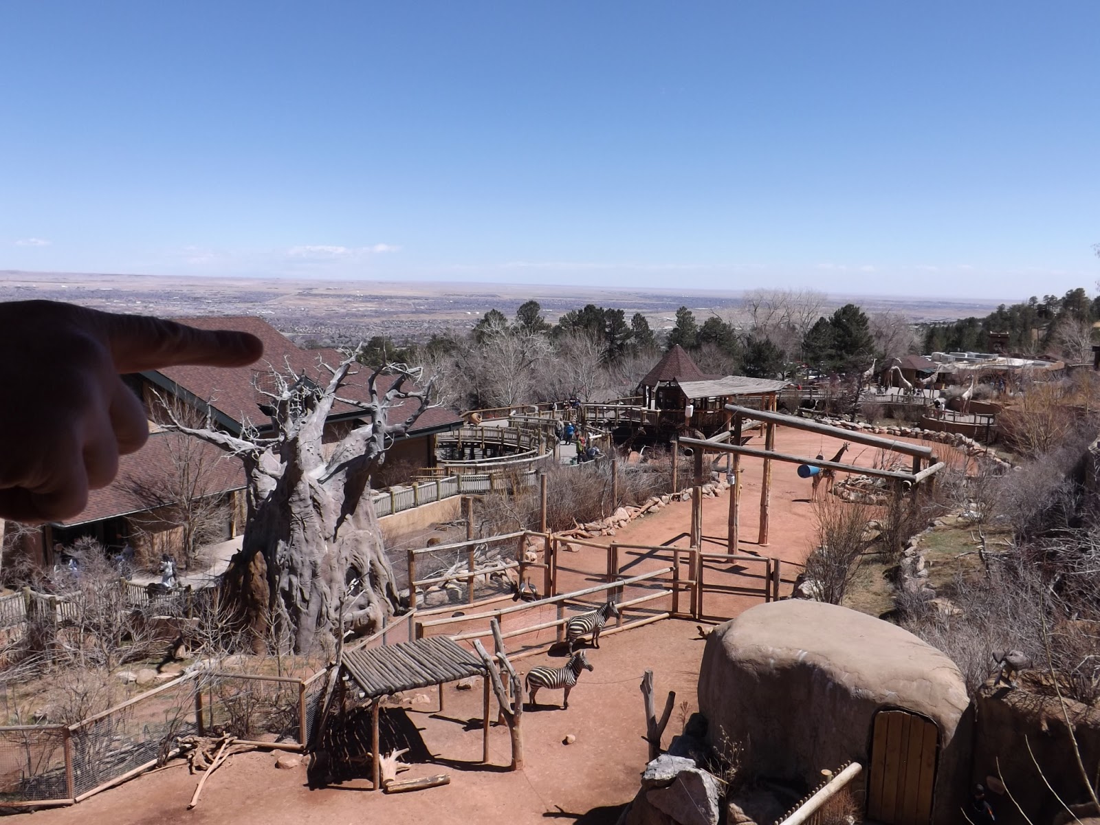 Colors of the World Weekend in Colorado Springs zoo. Выходные в