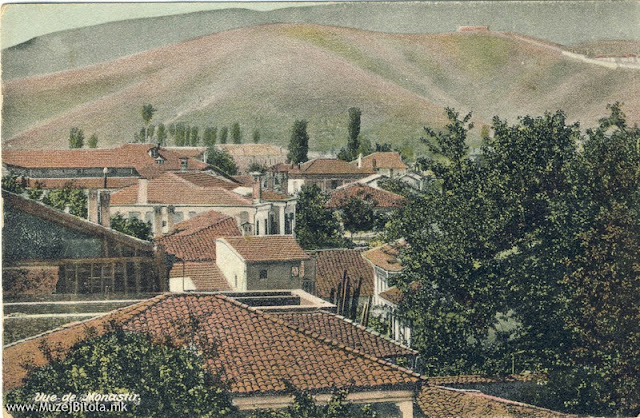 Дел од градот гледан кон југ. Разгледница издадена околу 1910 год.
