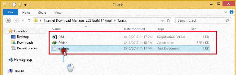 idm 6.28 build 17 gratuit avec crack