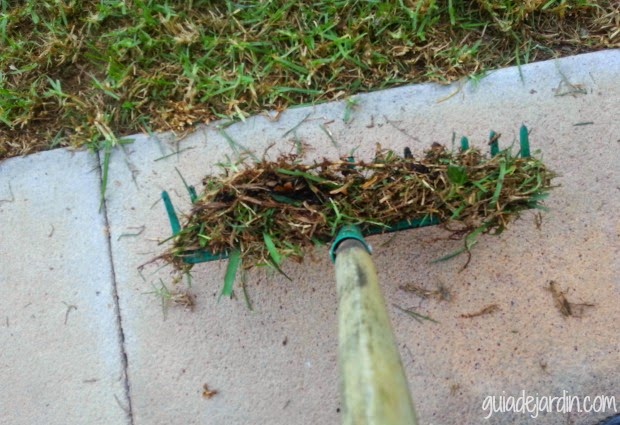 Las claves para recuperar un césped estropeado - Guia de jardin