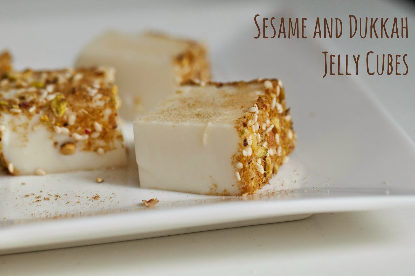 Simply Cooked Food Gurus by Stephen Vines [book review]and Sesame and Dukkah Cubes