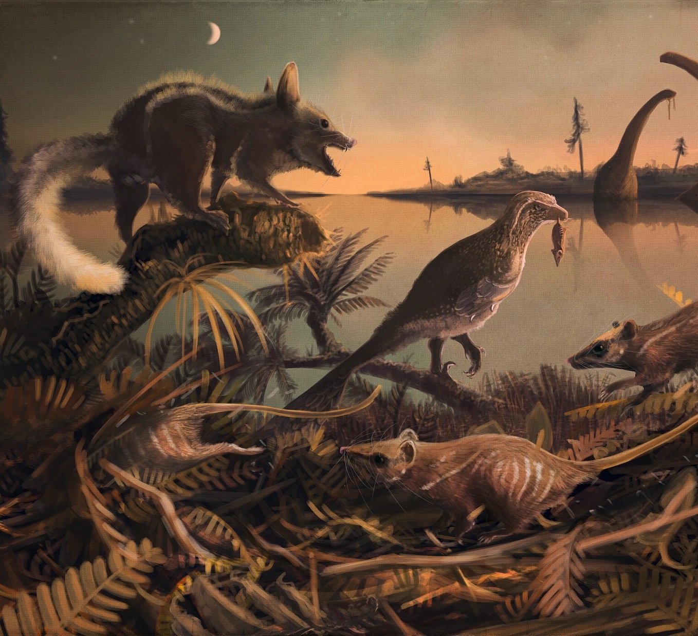 Species New to Science: [PaleoMammalogy • 2017] Durlstodon ensomi