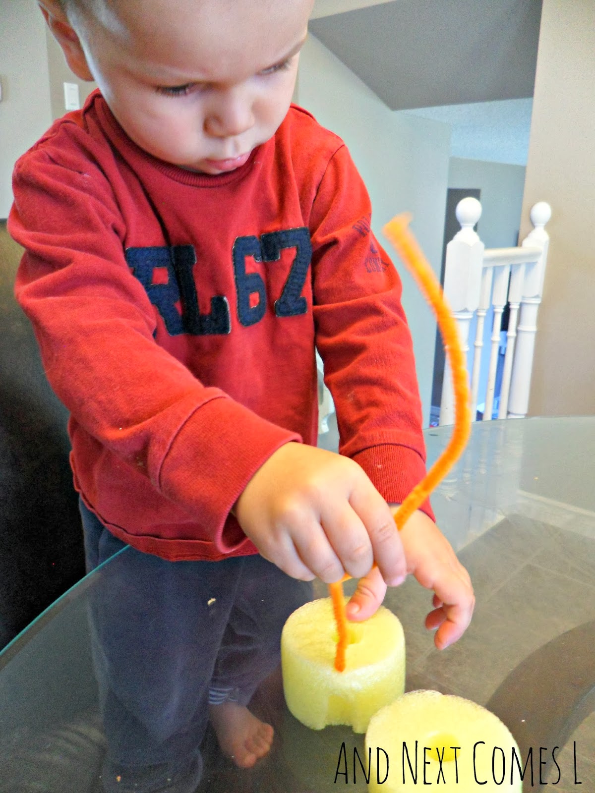 Building with Pool Noodles and Pipe Cleaners And Next Comes L