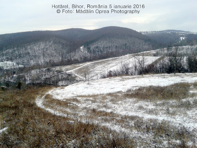 Hotarel, Bihor, Romania 5 ianuarie 2016. Hotarel, Bihor, Romania 05.01.2016 ; satul Hotarel comuna Lunca judetul Bihor Romania