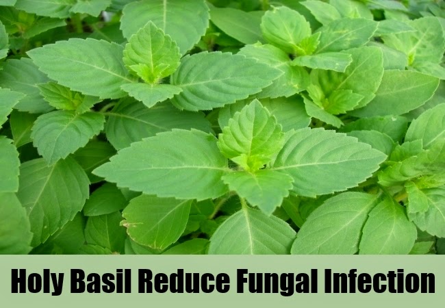 5 HERBAL REMEDIES FOR FUNGAL INFECTION ~ Mzizi Mkavu